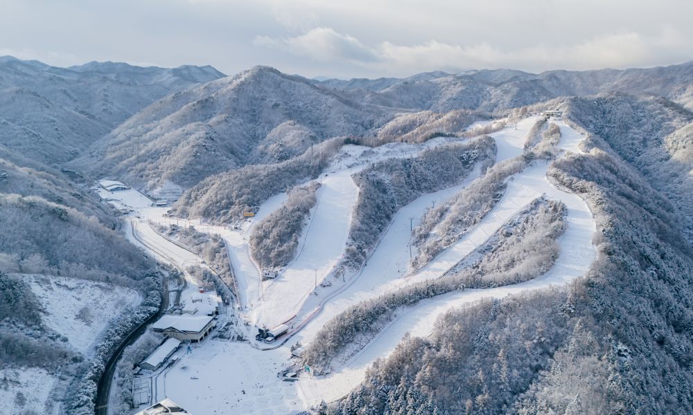엘리시안 강촌 리조트