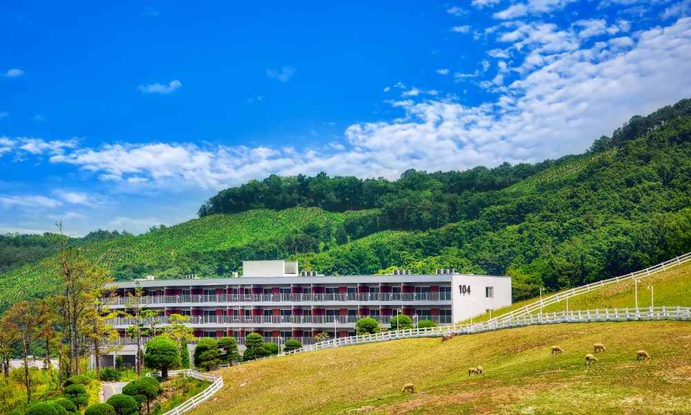 hotel